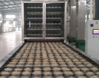 河南自熟粉絲機廠(chǎng)家哪家好？自熟粉絲機多少錢(qián)一臺？